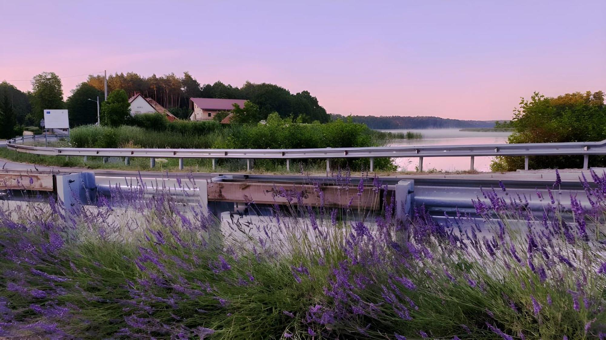 Wrzosowy Mlyn - Twoje Miejsce Nad Jeziorem Мєндзижеч Екстер'єр фото